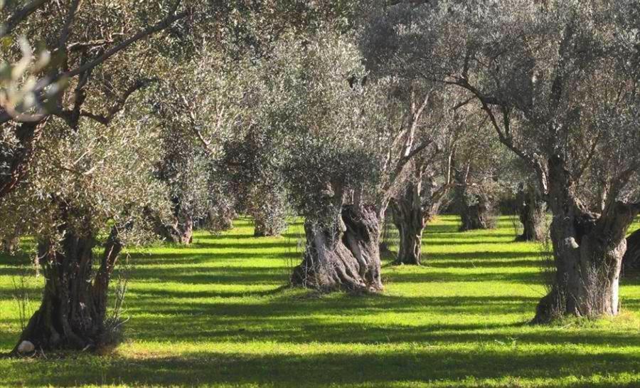 Filoxenia House Marousi -Private Parking- Apartment Athena Bagian luar foto